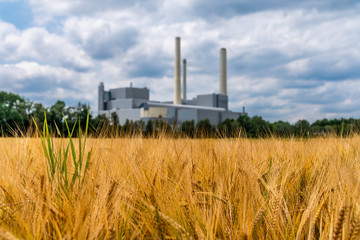 Heizkraftwerk hinter einem Weizenfeld