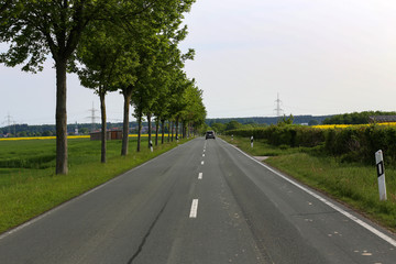 Naklejka premium Asphalt road among fields in the countryside of Germany