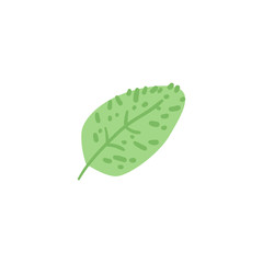 Abstract green leaf of a fantastic or prehistoric plant.