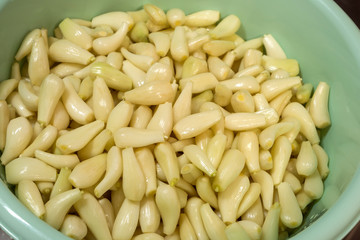 たらいに入れたラッキョウ