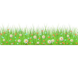 Summer, spring floral lush green grass and lawn seamless border on isolated background in realistic style.