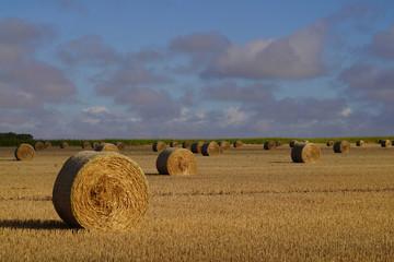 Paysage Campagne 470