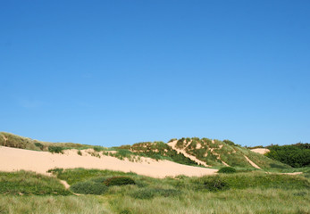paths through tall grass covered sand dune landscape in front of the sea and bright blue sea in summer sunlight on the sefton coast in merseyside