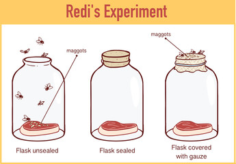  Francesco Redi 1668 experiment