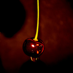 red cherry with water drops