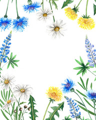 Obraz premium Wildflowers watercolor Botanical illustration leaves chamomile cornflower dandelion Lupin spring summer set for postcard design summer decoration design wedding invitation cards