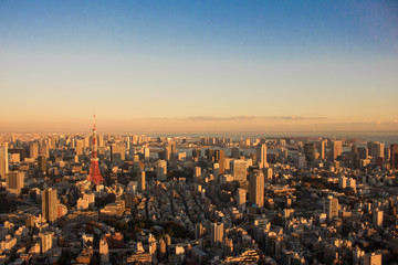 노을진 도쿄타워