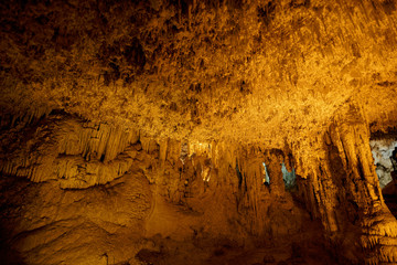 Thousands of small stalactites hanging down inside the Imposing limestone cave (Tropfsteinhöhle) Grotta di Nettuno in Sardegna (Italy) © Adrian