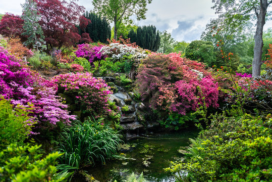 Garden with blooming trees during spring time, Wales, UK