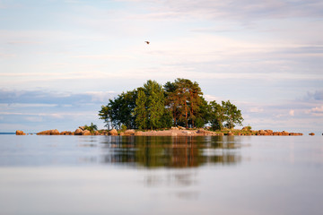 The island of the Gulf of Finland. The water blurred and the island in focus. Flying duck....