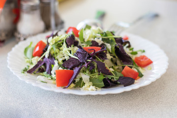 Vegetarian salad of vegetables and herbs on a white plate. Healthy food