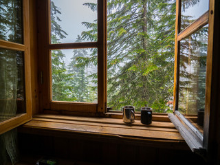 two camp mugs on the windowsill against the forest