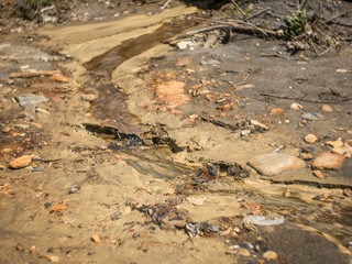 stream and puddles on sand and stones