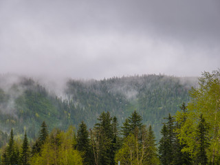 hills in fog and clouds