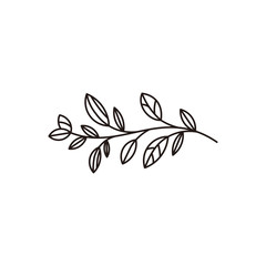 leaf vector illustration logo graphic