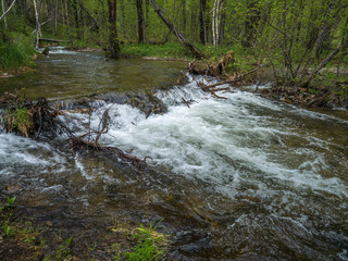 mountain river with clear water rapids and plants on the banks
