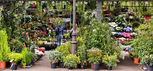 Fair of flowers in Paris. Beautiful flowers for home and garden. Spring in France. Banner