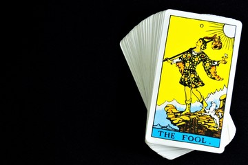 Jester, the Tarot card is a man dressed as a jester.  Represents immaturity, carelessness,...