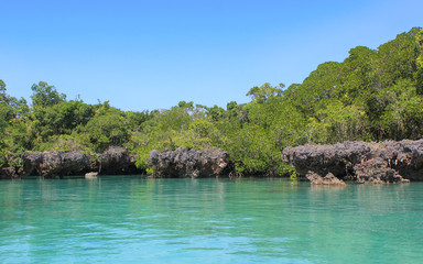 Fototapeta premium Beautiful lagoon and green trees
