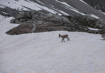 the Caucasus mountains Arkhyz tourism