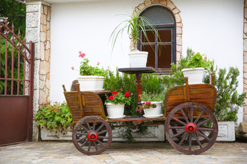 Fototapeta na wymiar vintage carriage in the form of a decoration. flowers in pots on a horse cart
