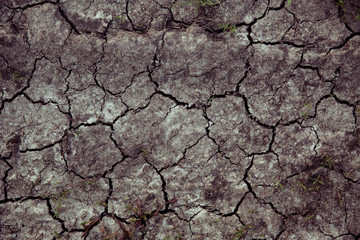 cracked soil texture. dark background of arid ground
