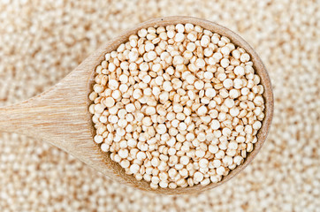Raw quinoa seeds in wooden spoon.