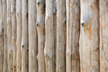 background of hewn logs. texture of the old logs with cracks and knots