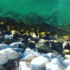 Türkisblaues Wasser und schöne Steine im Milford Sound, Neuseeland