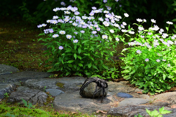 茶室　露地の止め石