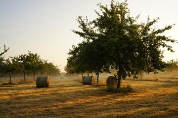 Paysage Campagne 475