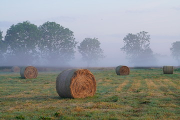 Paysage campagne 488