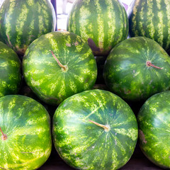 Many large sweet green watermelons lying in a row.