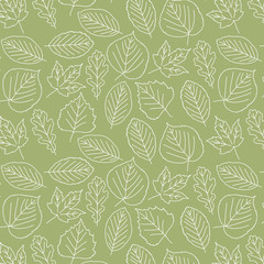 pattern of leaves, outline, texture