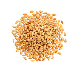 Wheat grains isolated on white background, top view