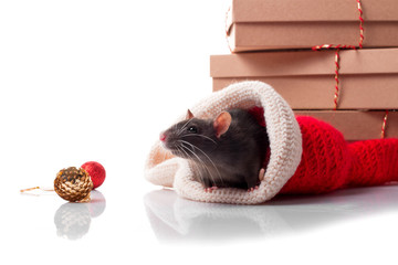 Naklejka premium New year's poster for Chinese happy year of rat 2020 with dark grey rat with new year decorations isolated with copy space