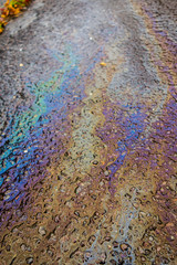 Spilt Oil Petrol Pollution Leak Rainbow Leak on a Road
