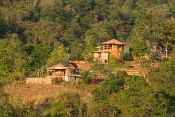 Residential houses in rainforest near Minca in Colombia