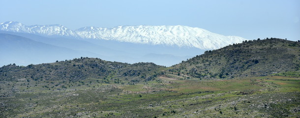 Grüne Gebirgsausläufer in der Bekaa-Ebene mit schneebedeckten Bergen im Hintergrund