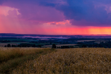 Storm coming in a big dark cloud over cereal fields at the late summer evening