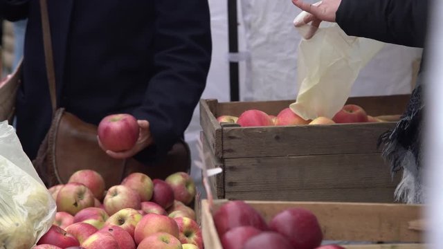 Costumer choosing red apples in city fruit and vegetable market. Buyer picking red juicy apples in farmers market