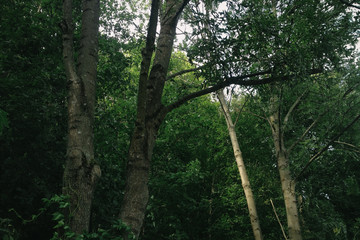 Ride to the valley, taking the alternative quiet roads