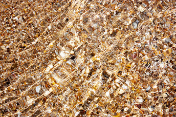 Seashells on the seashore on a sunny day. Seashore from seashells