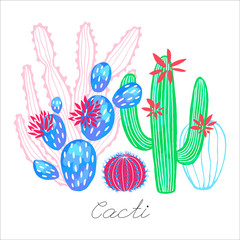 Cactus succulent wild flowers colorful watercolor sketch style print. Botanical houseplant bright collection on white background. Hand drawn vector illustration.