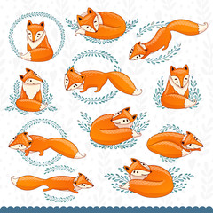 Set of cute, charming and beautiful foxes with leaves. Vector illustration. Wildlife.
