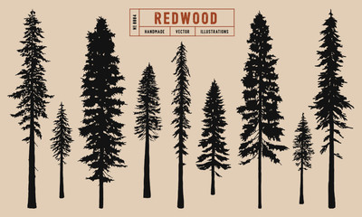 Redwood tree silhouette vector illustration hand drawn	 - obrazy, fototapety, plakaty