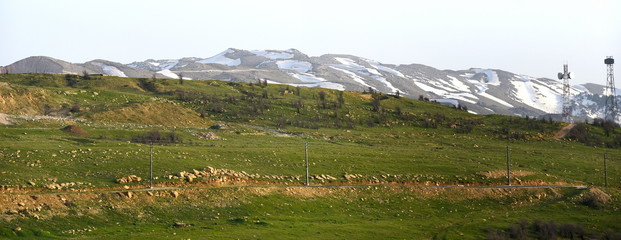 Sattgrüne Bakaa-Ebene mit schneebedecktem Libanongebirge im Hintergrund