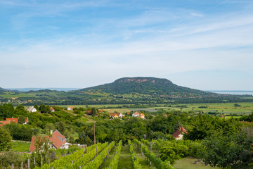 Lake Balaton scenery with Badacsony Hill, the center of Badacsony Wine Region and the most iconic...