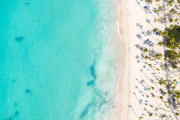 Aerial view from drone on caribbean seashore with coconut palm trees and sunbeds