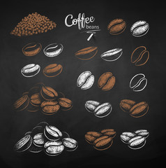 Vector chalk drawn sketches set of coffee beans